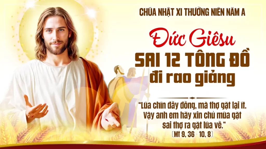 Chúa Nhật XI Thường Niên A